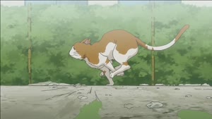 Rating: Safe Score: 18 Tags: animals animated background_animation creatures effects presumed sekirei sekirei_series tsurugi_kato User: ken