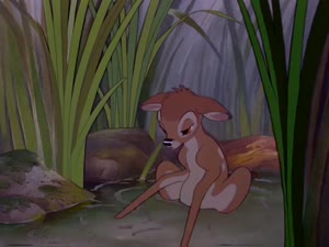 Rating: Safe Score: 9 Tags: animals animated artist_unknown bambi character_acting creatures ollie_johnston presumed western User: Nickycolas