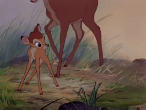 Rating: Safe Score: 6 Tags: animals animated artist_unknown bambi character_acting creatures ollie_johnston presumed western User: Nickycolas