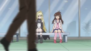 Rating: Safe Score: 3 Tags: animated artist_unknown character_acting hair to_love_ru to_love_ru_(ova) User: Kazuradrop