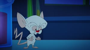 Rating: Safe Score: 0 Tags: animals animaniacs animaniacs_(2020) animated artist_unknown character_acting creatures pinky_and_the_brain western User: trashtabby