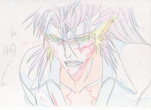 Rating: Safe Score: 32 Tags: artist_unknown bleach bleach_series genga production_materials User: drake366