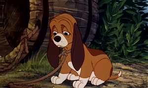 Rating: Safe Score: 9 Tags: animals animated character_acting creatures dale_oliver john_pomeroy ollie_johnston randy_cartwright the_fox_and_the_hound western User: Nickycolas