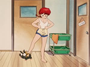 Rating: Safe Score: 67 Tags: animated artist_unknown character_acting creatures effects fabric liquid ranma_1/2 User: chii