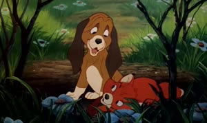 Rating: Safe Score: 6 Tags: animals animated character_acting creatures dale_oliver effects liquid the_fox_and_the_hound western User: Nickycolas