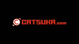 Rating: Safe Score: 62 Tags: animated catsuka cloud_yang effects running smears western User: Tsuka