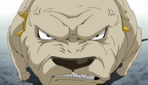 Rating: Safe Score: 30 Tags: animals animated artist_unknown character_acting creatures fullmetal_alchemist fullmetal_alchemist_(2003) User: Quizotix