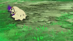 Rating: Safe Score: 24 Tags: animated creatures effects fighting pokemon pokemon_sun_&_moon takashi_shinohara User: WTBorp